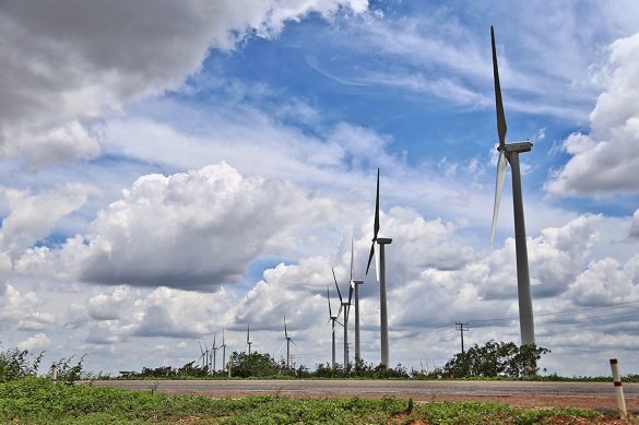   												Piau ganha reforo na produo de energia elica.						 (Foto:Marcelo Cardoso)					